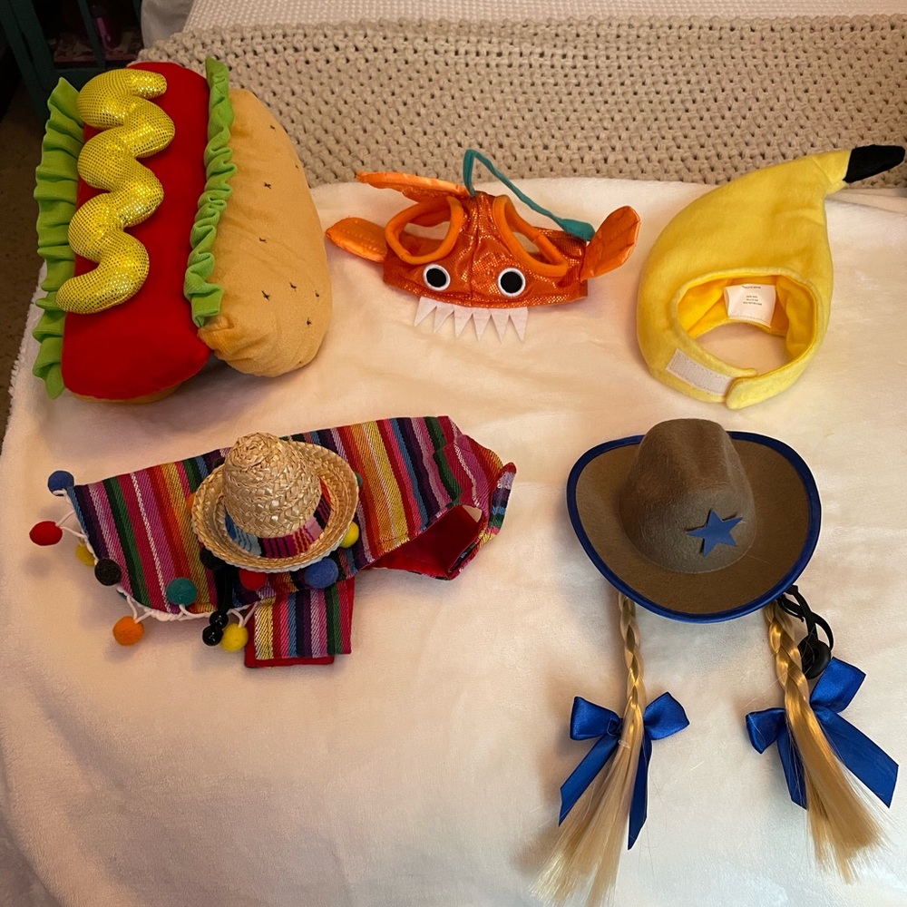 Grab bag of pet costumes!